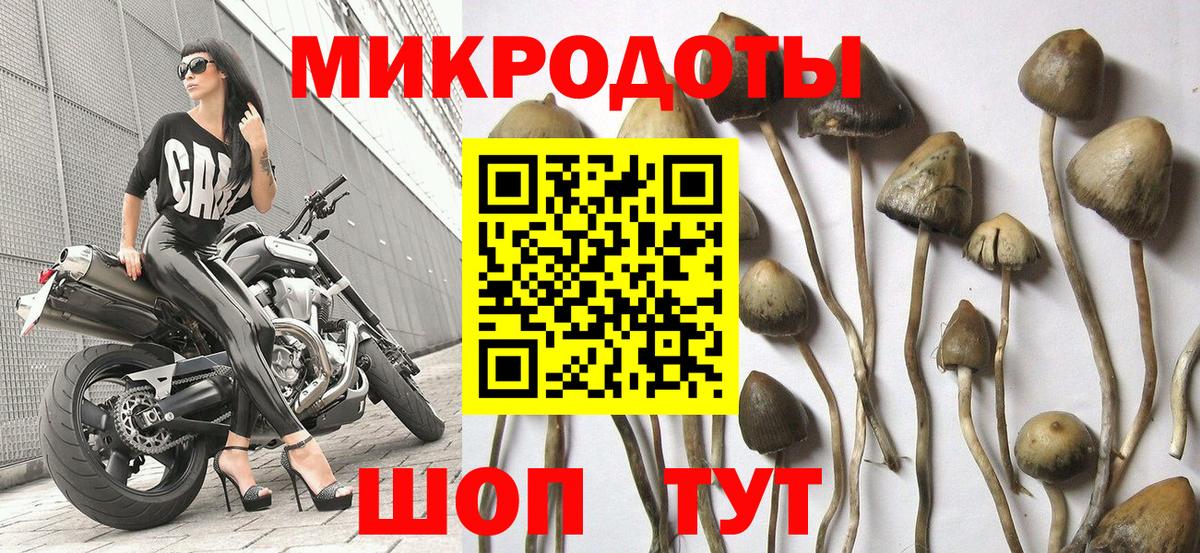 Галлюциногенные грибы GOLDEN TEACHER Калининград