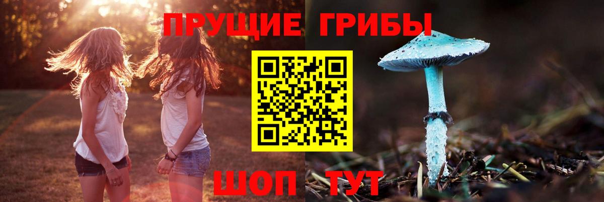 Калининград  Галлюциногенные грибы прущие грибы  Вход с VPN 